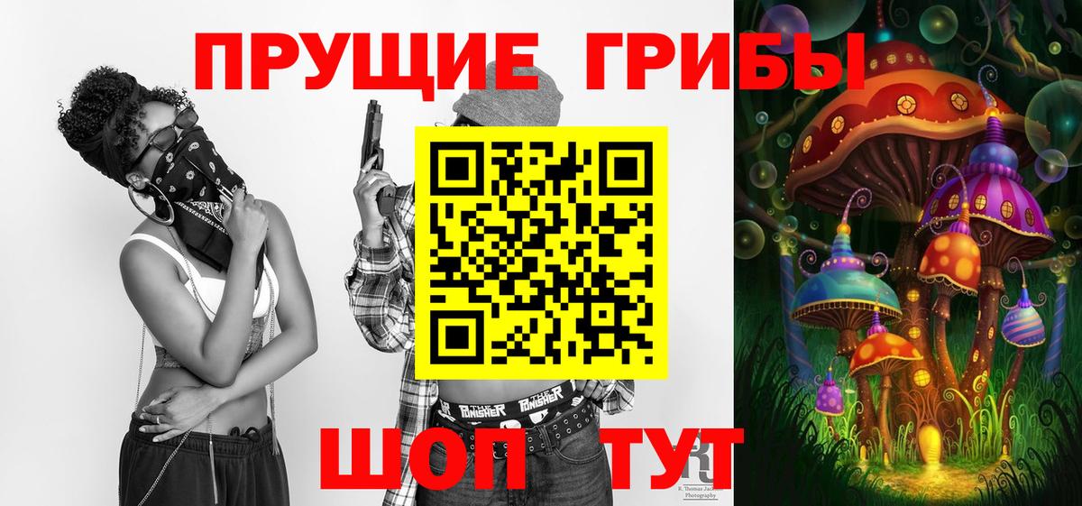 Галлюциногенные грибы Psilocybine cubensis Черкесск