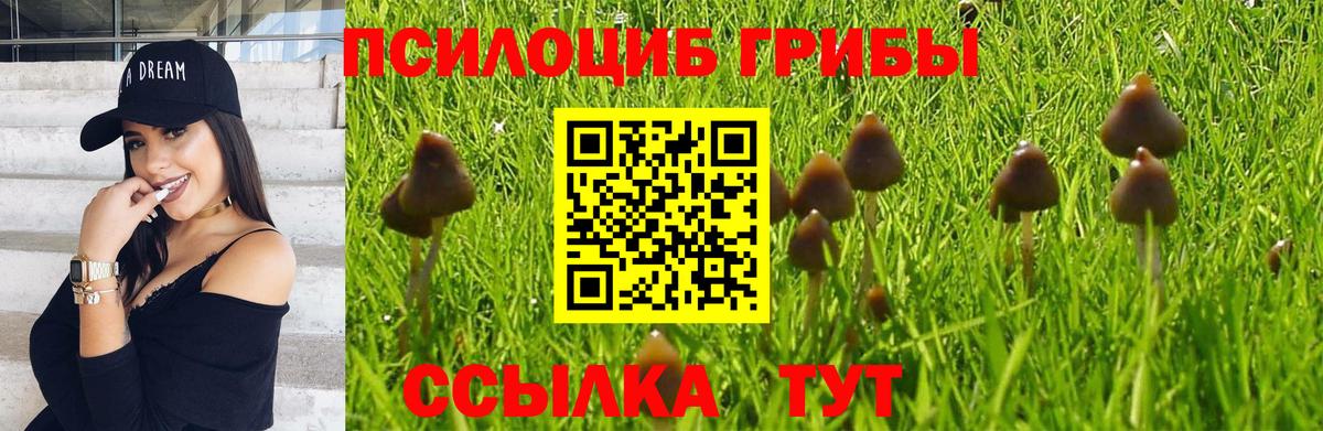 Псилоцибиновые грибы MAGIC MUSHROOMS  Вход с VPN  Черкесск 